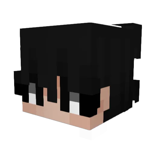 _blizzz Minecraft avatar head, 3D render