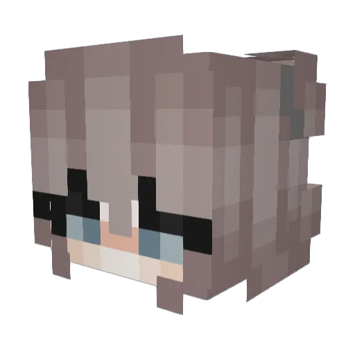 _bloopie Minecraft avatar head, 3D render