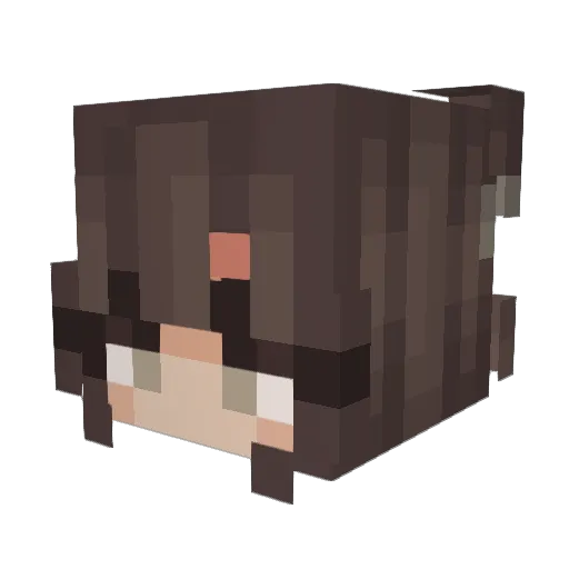 _bludream Minecraft avatar head, 3D render