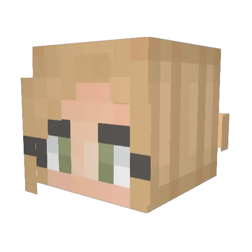 _blue_panda Minecraft avatar head, 3D render