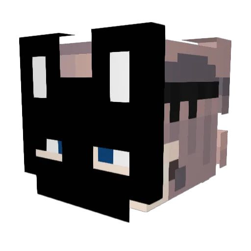 _blueberry_1 Minecraft avatar head, 3D render