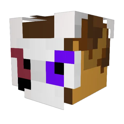 _blyth_ Minecraft avatar head, 3D render