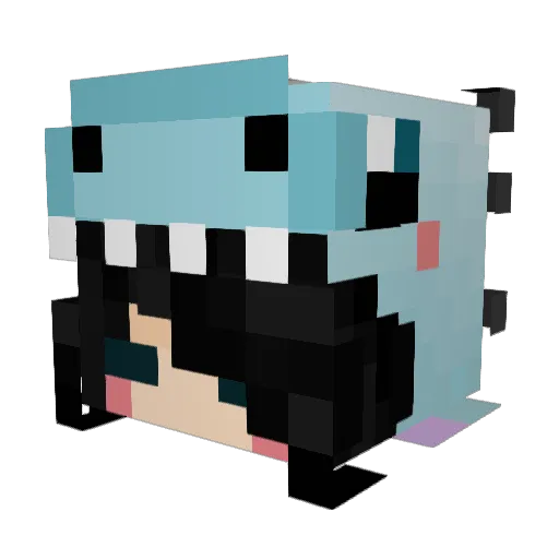 _bntran Minecraft avatar head, 3D render