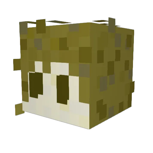 _boci_ Minecraft avatar head, 3D render