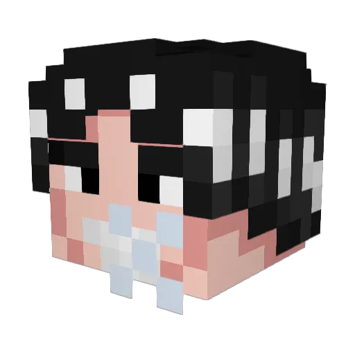 _boofydragon_ Minecraft avatar head, 3D render