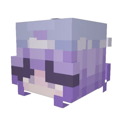 _bouquet Minecraft avatar head, 3D render