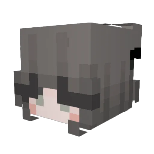 _br1elle Minecraft avatar head, 3D render