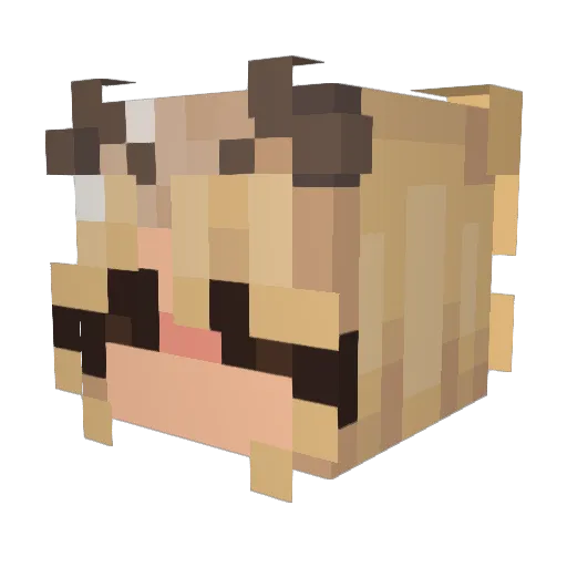 _brae Minecraft avatar head, 3D render