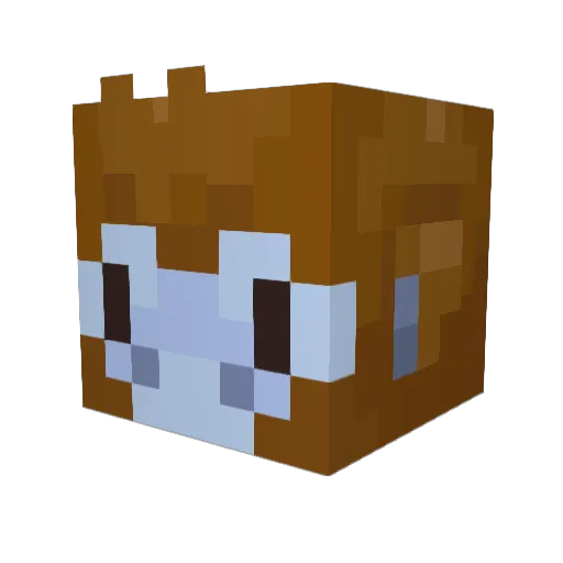 _brainhurt Minecraft avatar head, 3D render