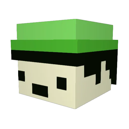_brentleyomg Minecraft avatar head, 3D render