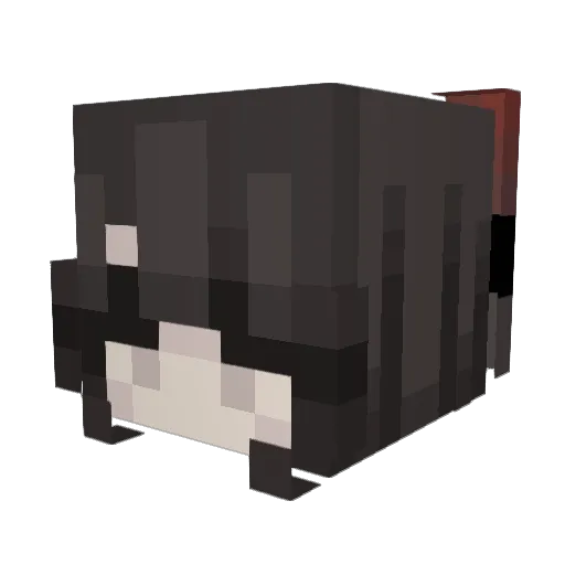 _broken_toaster_ Minecraft avatar head, 3D render