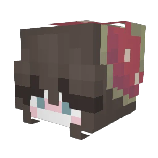 _brownies Minecraft avatar head, 3D render