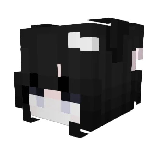 _btc Minecraft avatar head, 3D render
