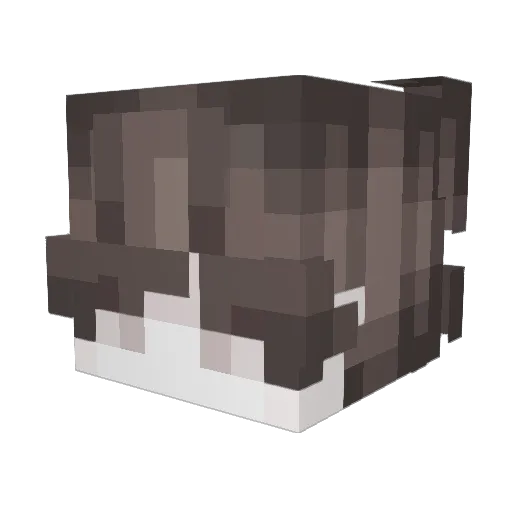 _bubo Minecraft avatar head, 3D render