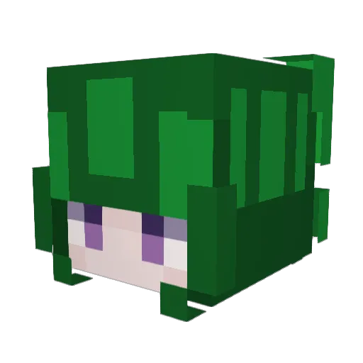 _bubonic Minecraft avatar head, 3D render