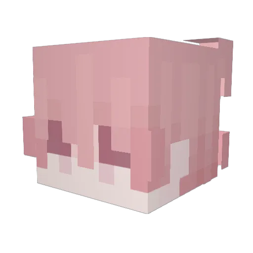 _buffgirls Minecraft avatar head, 3D render