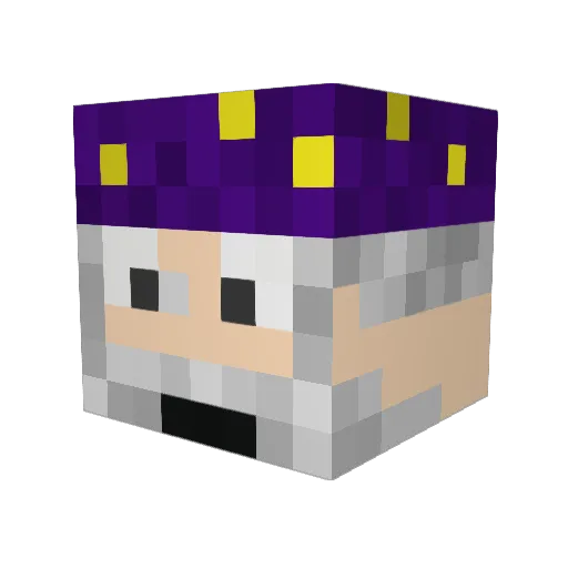 _bunz Minecraft avatar head, 3D render