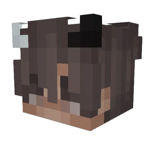 _bxbi_ Minecraft avatar head, 3D render