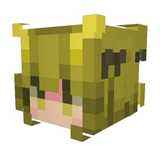 _cChamoSs_ Minecraft avatar head, 3D render