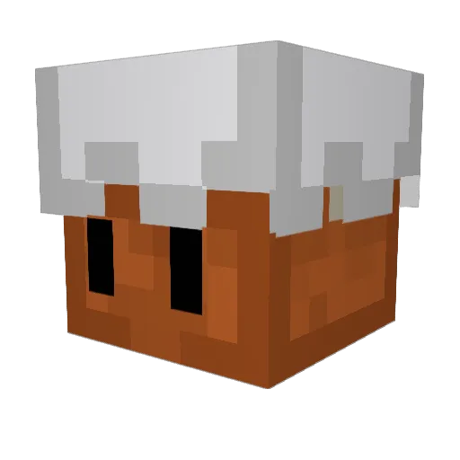 _cake_kid Minecraft avatar head, 3D render