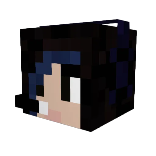 _camjj_ Minecraft avatar head, 3D render