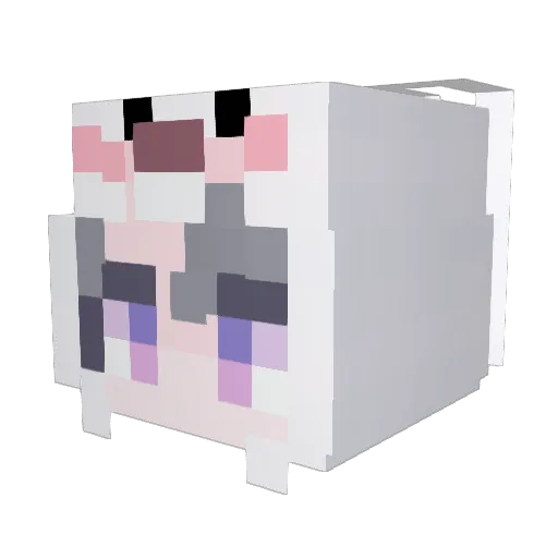 _carolyn Minecraft avatar head, 3D render