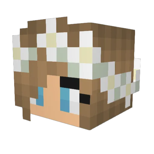 _cass_ Minecraft avatar head, 3D render