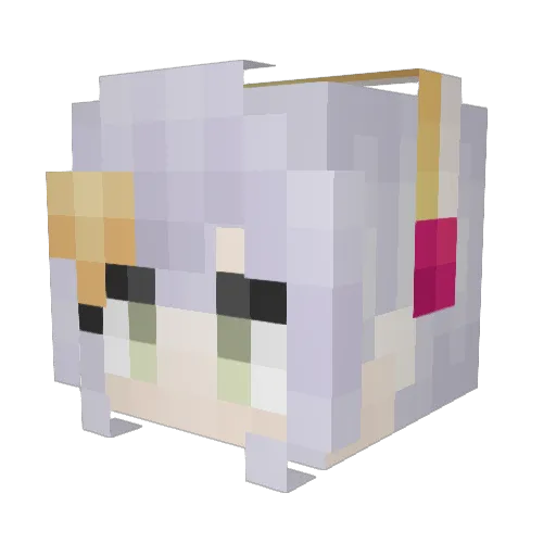 _catboyobama Minecraft avatar head, 3D render