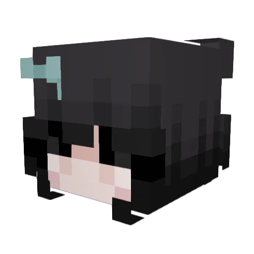 _catfan Minecraft avatar head, 3D render