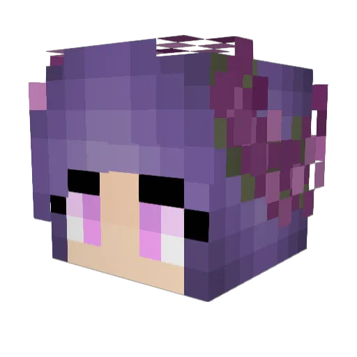 _ch3rn_ Minecraft avatar head, 3D render