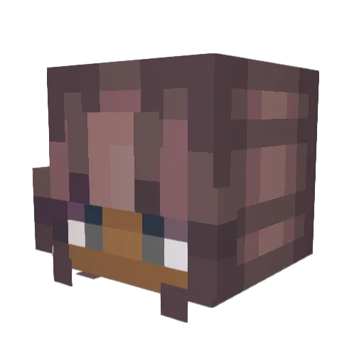 _chaara_ Minecraft avatar head, 3D render