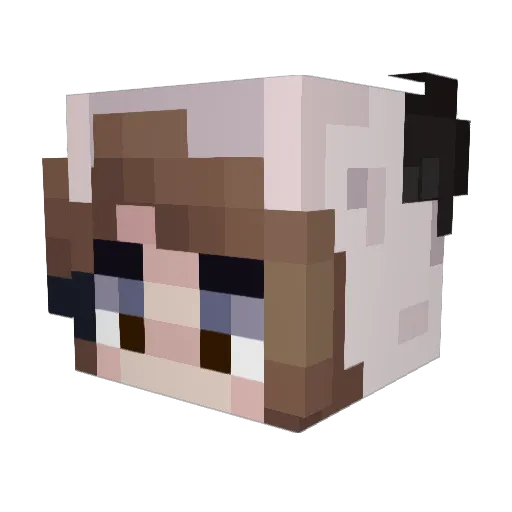 _cheeseball Minecraft avatar head, 3D render