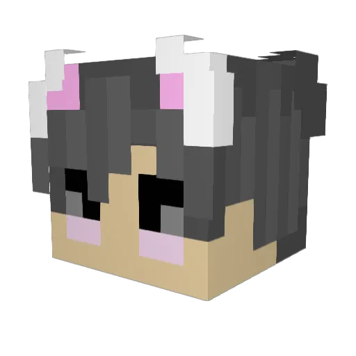 _choobs Minecraft avatar head, 3D render