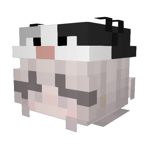 _chookiez Minecraft avatar head, 3D render