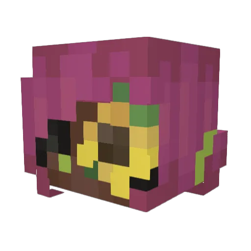 _cizziehwi Minecraft avatar head, 3D render