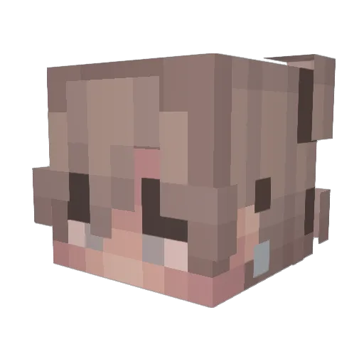 _cleann Minecraft avatar head, 3D render