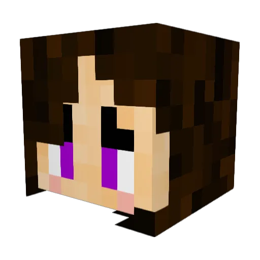 _collateral_dmg Minecraft avatar head, 3D render