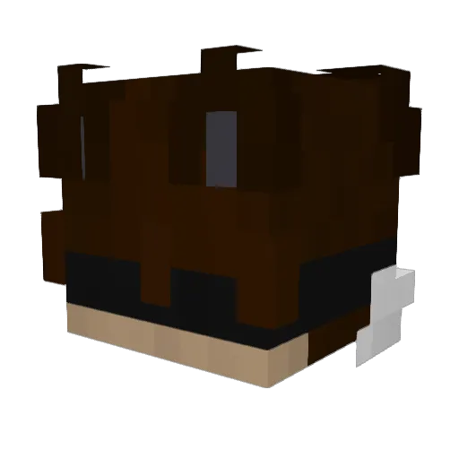 _confa Minecraft avatar head, 3D render