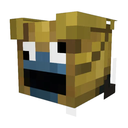 _cookiemonster77 Minecraft avatar head, 3D render