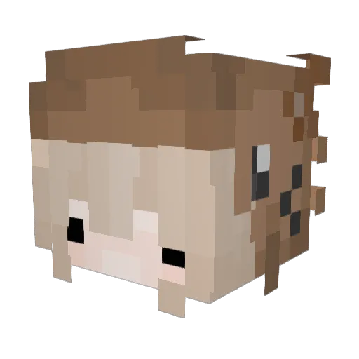 _cqt Minecraft avatar head, 3D render