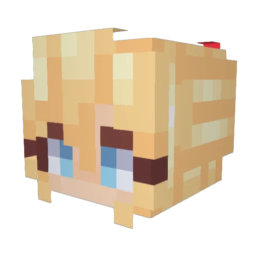 _csconnor Minecraft avatar head, 3D render
