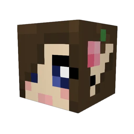 _d0pie_ Minecraft avatar head, 3D render