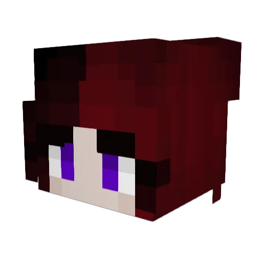 _d3st1ny_22 Minecraft avatar head, 3D render