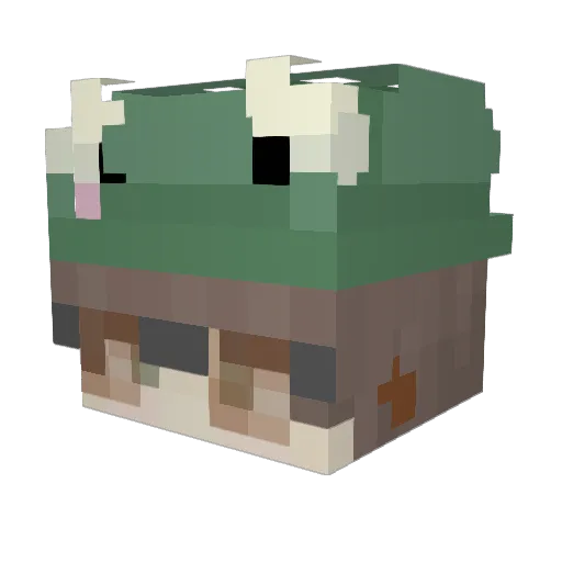 _daddyfrog Minecraft avatar head, 3D render