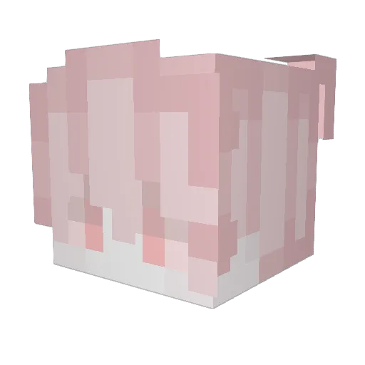 _daicatkly Minecraft avatar head, 3D render