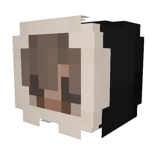 _dakiii Minecraft avatar head, 3D render