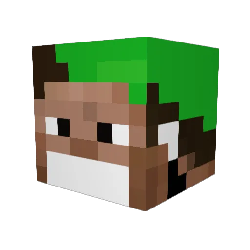 _danilplayer Minecraft avatar head, 3D render