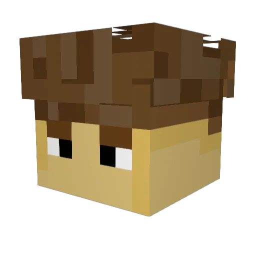 _dermi Minecraft avatar head, 3D render