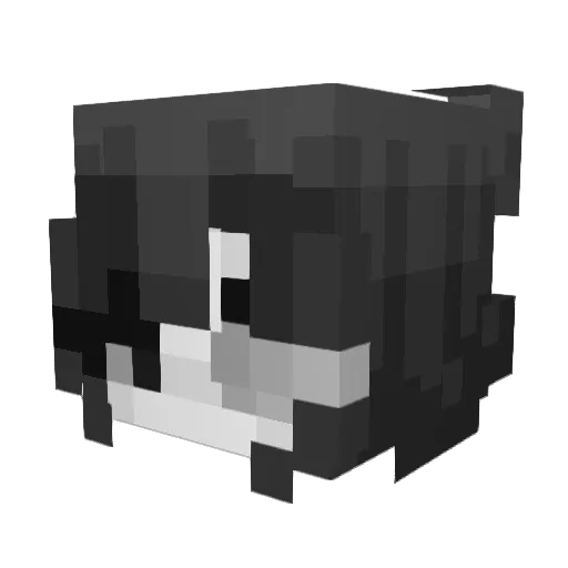 _dfg Minecraft avatar head, 3D render