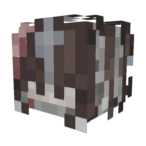 _dizzzywizzzy_ Minecraft avatar head, 3D render
